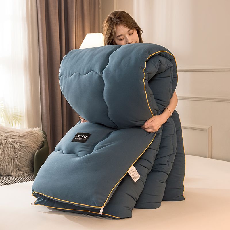 Winter-Quilted-Blanket-Thick-Quilt-Down-Quilt-3D-Bread-Down-Quilt-Quilt-Comfortable-Winter-Four-Seasons-3